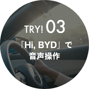 TRY03!「Hi,尊龙凯时」で音声操作