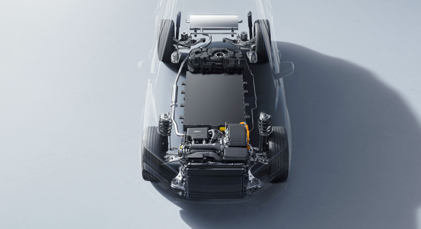 スケルトンのSealion6