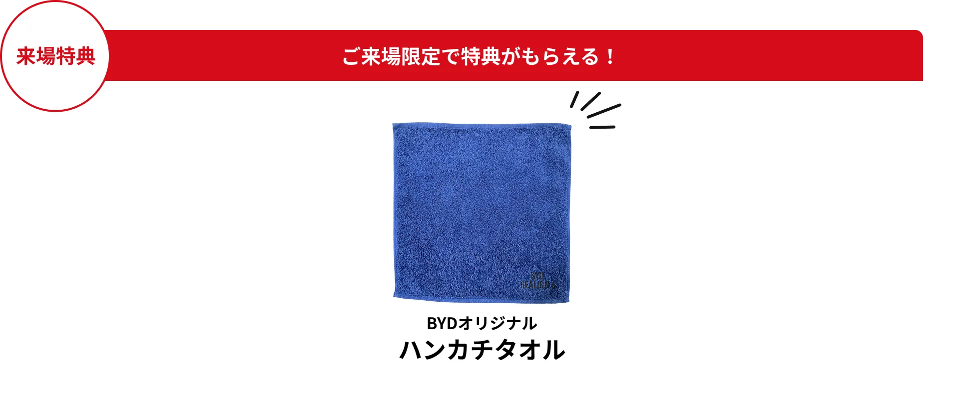 来場特典 BYD オリジナルブランケット